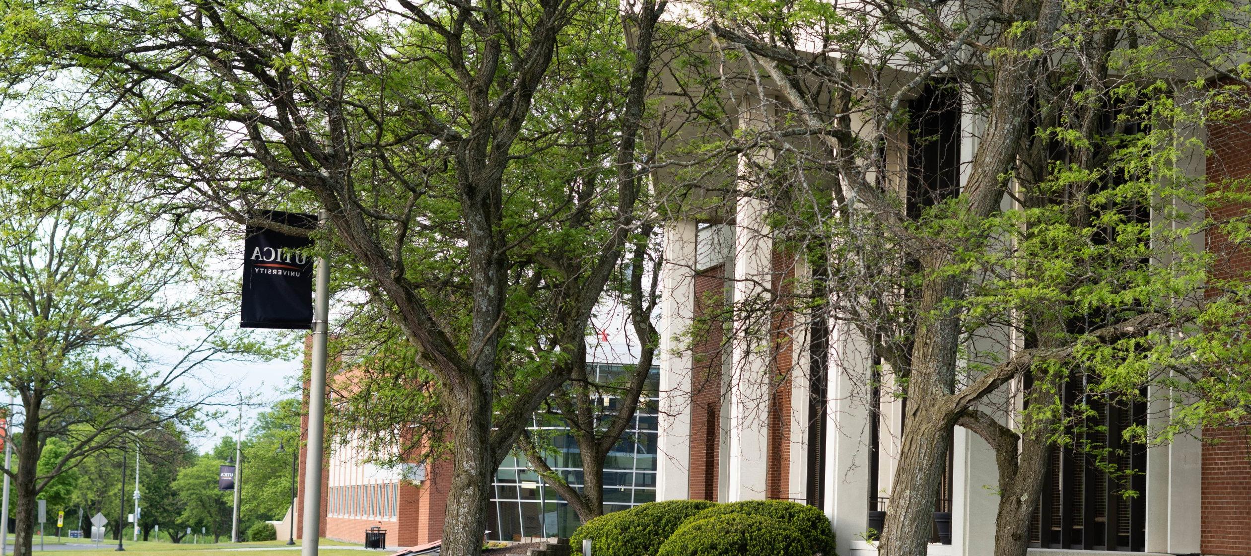 Two trees, full of green leaves, 在一个温暖的日子里，利记sbo的横幅矗立在甘尼特图书馆前，背后是科学中心.